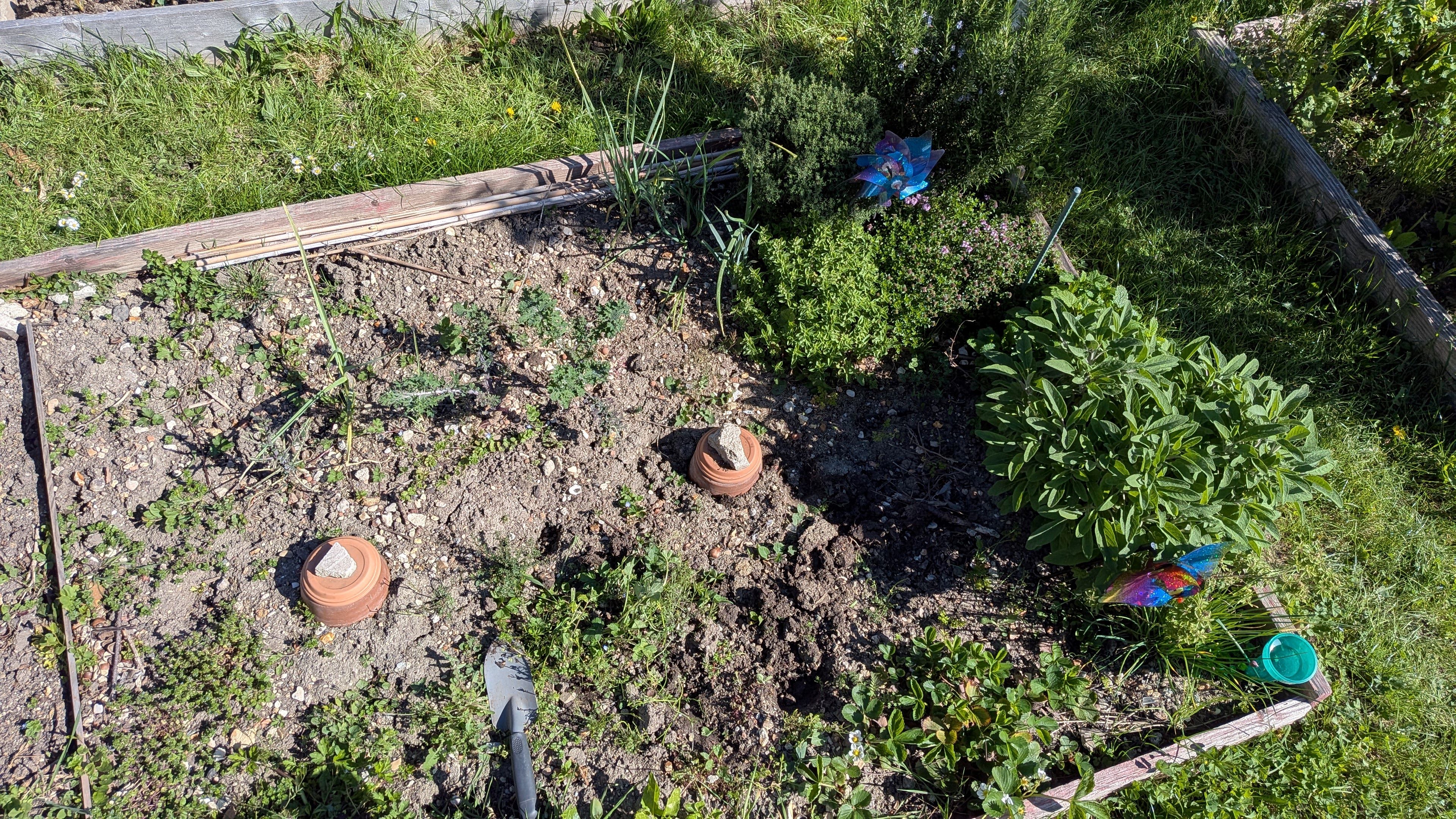 2026 - Un démarrage tardif au potager… mais pas un abandon